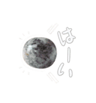Y.S.Y24 魔法の石スタンプ（個別スタンプ：8）