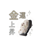 Y.S.Y24 魔法の石スタンプ（個別スタンプ：20）