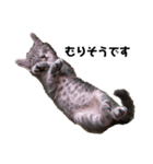 センマイ♂stamp✴︎（個別スタンプ：20）