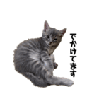 センマイ♂stamp✴︎（個別スタンプ：30）