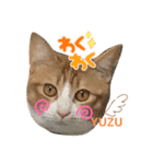 うちの3姉妹ぷらす（個別スタンプ：4）