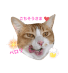 うちの3姉妹ぷらす（個別スタンプ：12）