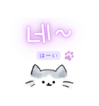 使いやすい韓国語しらたまねこ1(日本語訳)（個別スタンプ：6）