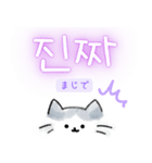 使いやすい韓国語しらたまねこ1(日本語訳)（個別スタンプ：7）
