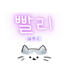 使いやすい韓国語しらたまねこ1(日本語訳)（個別スタンプ：16）