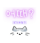 使いやすい韓国語しらたまねこ1(日本語訳)（個別スタンプ：20）