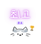使いやすい韓国語しらたまねこ1(日本語訳)（個別スタンプ：24）