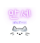 使いやすい韓国語しらたまねこ1(日本語訳)（個別スタンプ：27）