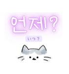 使いやすい韓国語しらたまねこ1(日本語訳)（個別スタンプ：29）