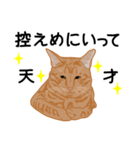 ひねもす茶とらねこ（個別スタンプ：14）