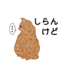 ひねもす茶とらねこ（個別スタンプ：16）