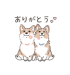 コーギーまみれのLINEスタンプ（個別スタンプ：1）