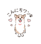 コーギーまみれのLINEスタンプ（個別スタンプ：3）