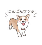 コーギーまみれのLINEスタンプ（個別スタンプ：4）