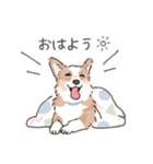 コーギーまみれのLINEスタンプ（個別スタンプ：5）