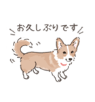 コーギーまみれのLINEスタンプ（個別スタンプ：7）