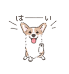 コーギーまみれのLINEスタンプ（個別スタンプ：9）