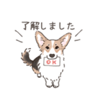 コーギーまみれのLINEスタンプ（個別スタンプ：11）