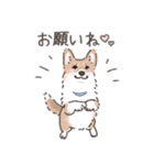 コーギーまみれのLINEスタンプ（個別スタンプ：14）