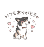 コーギーまみれのLINEスタンプ（個別スタンプ：15）