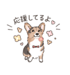 コーギーまみれのLINEスタンプ（個別スタンプ：17）