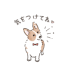 コーギーまみれのLINEスタンプ（個別スタンプ：28）