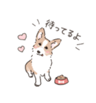 コーギーまみれのLINEスタンプ（個別スタンプ：32）