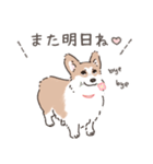 コーギーまみれのLINEスタンプ（個別スタンプ：37）