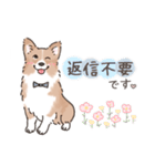 コーギーまみれのLINEスタンプ（個別スタンプ：38）