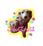 おつかれ、おつかれ（個別スタンプ：1）