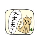 ＊トラ猫の日常＊あいさつ（個別スタンプ：18）