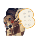 i am ルーク。（個別スタンプ：18）