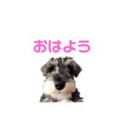BEALのほのぼの日常スタンプ（個別スタンプ：4）