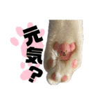 まつうら家あにまるず③（個別スタンプ：25）