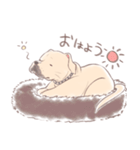 犬のもぐちゃんスタンプ（個別スタンプ：1）