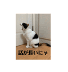 まるとかいの可愛いスタンプ（個別スタンプ：2）