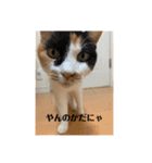 まるとかいの可愛いスタンプ（個別スタンプ：4）