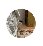 まるとかいの可愛いスタンプ（個別スタンプ：5）