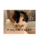 まるとかいの可愛いスタンプ（個別スタンプ：8）