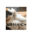 まるとかいの可愛いスタンプ（個別スタンプ：27）