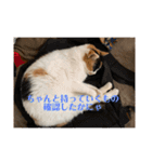 まるとかいの可愛いスタンプ（個別スタンプ：32）