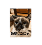 まるとかいの可愛いスタンプ（個別スタンプ：33）
