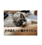 まるとかいの可愛いスタンプ（個別スタンプ：36）