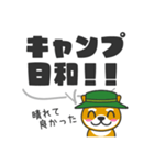 デカ文字！キャンプに行きたい犬-柴犬ver（個別スタンプ：4）