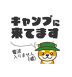 デカ文字！キャンプに行きたい犬-柴犬ver（個別スタンプ：5）