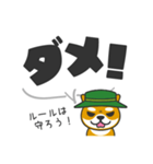 デカ文字！キャンプに行きたい犬-柴犬ver（個別スタンプ：14）