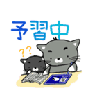 猫ぶらざー（個別スタンプ：16）