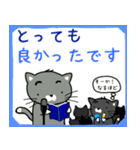 猫ぶらざー（個別スタンプ：23）