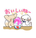 ぷくりいぬ SUMMERスタンプ（個別スタンプ：10）