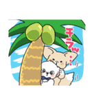 ぷくりいぬ SUMMERスタンプ（個別スタンプ：19）